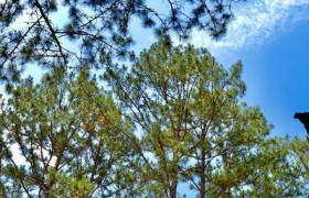 THỜI TIẾT NÀY CHỈ HỢP ĐỂ BƯỚC CHÂN VỀ VỚI NÚI NON MÂY TRỜI THÔI