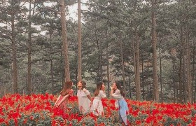 THIÊN NHIÊN LẮP ĐẦY CHỖ NÀO - YÊU ĐỜI CHỖ ĐÓ