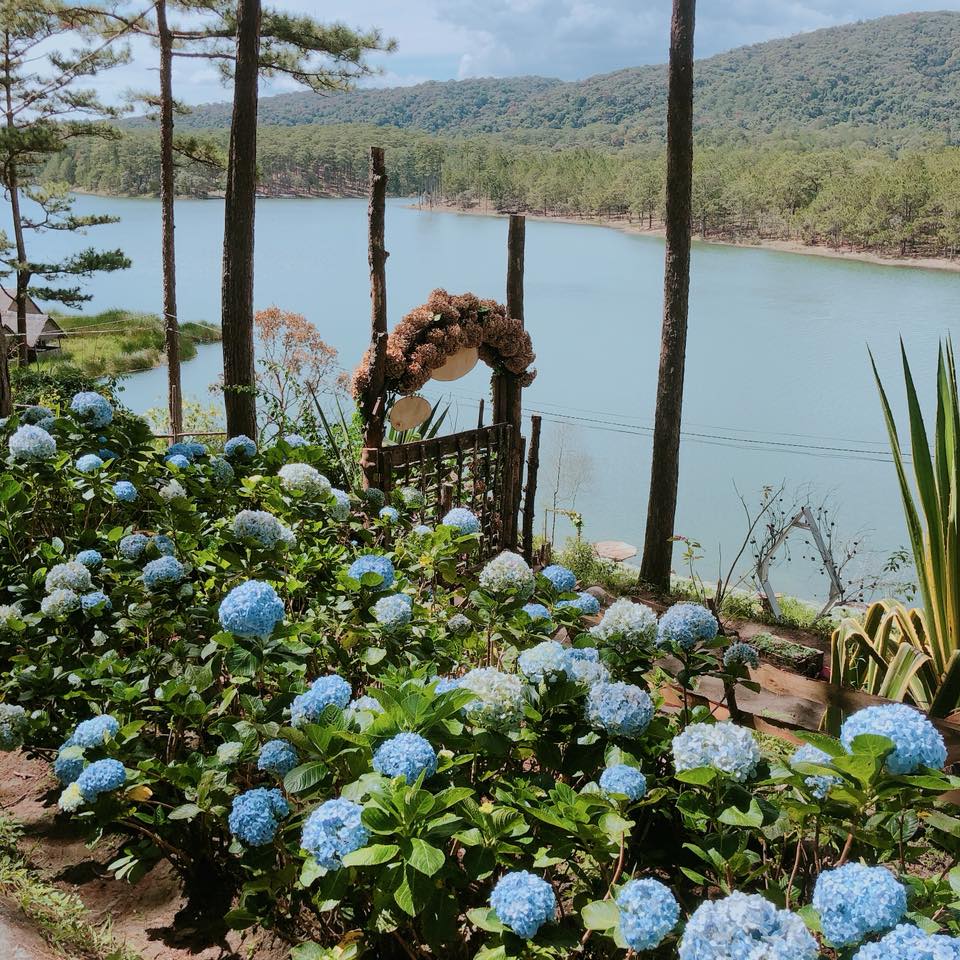 du lịch sinh thái đà lạt